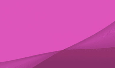 How the Brain Learns a New Language